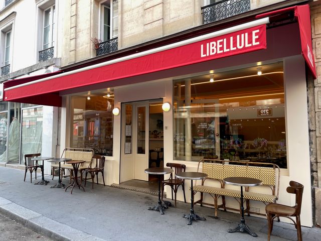 LIBELLULE 
